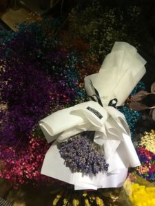 Đôi nét về loài hoa lavender khô